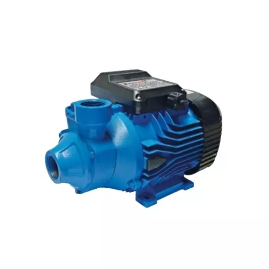 Star Pompa SPP 100 1 Hp Preferikal Monofaze Sürtme Çarklı Pompa