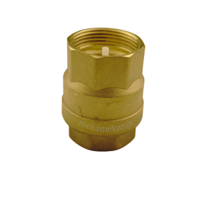 2’’ Dik Yaylı İç Dişli Çekvalf